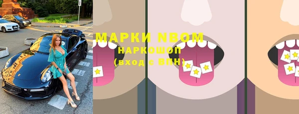 ПСИЛОЦИБИНОВЫЕ ГРИБЫ Няндома