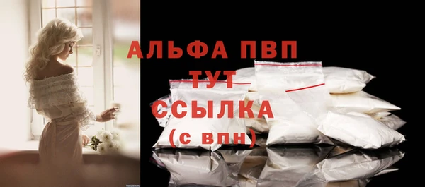 ПСИЛОЦИБИНОВЫЕ ГРИБЫ Няндома