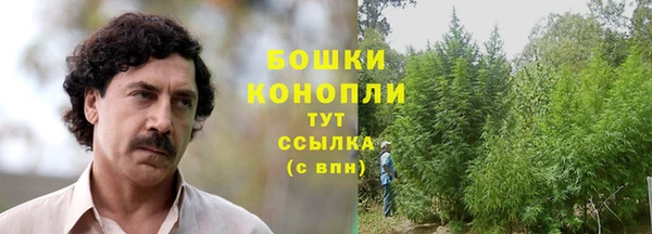 амфетамин Новодвинск