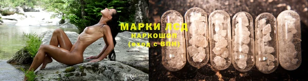 ПСИЛОЦИБИНОВЫЕ ГРИБЫ Няндома