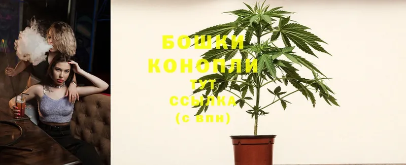 mega ONION  Котово  Шишки марихуана OG Kush 